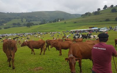 III CONCENTRACIÓN GANADERA EN ESLES-SANTA MARIA DE CAYÓN