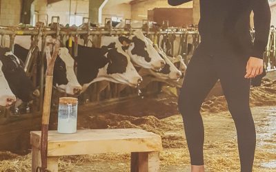 El Gobierno de Cantabria lanza una campaña para fomentar el consumo de la leche de Cantabria y reclamar un precio justo